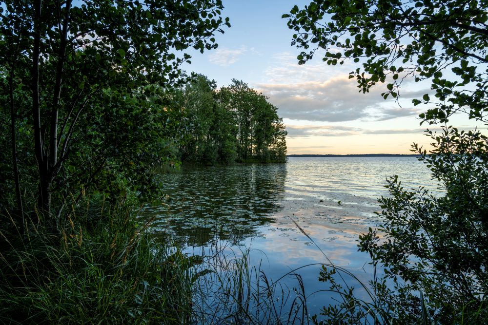 En sjö med träd som ramar in. 