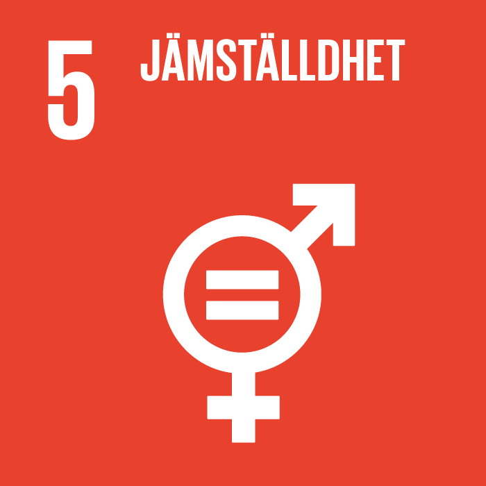 Globala målen - mål nummer 5: Jämställdhet
